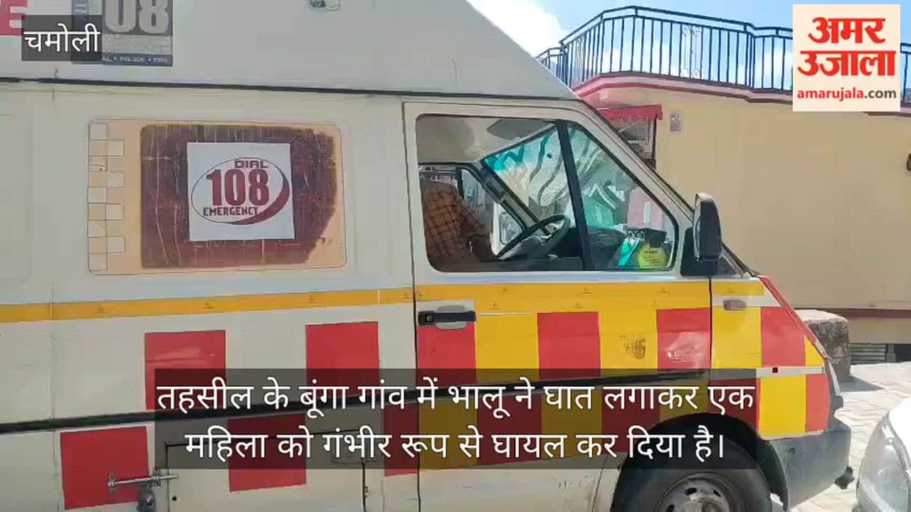 Bear lying in ambush attacked a woman returning from the fields with fodder Chamoli News