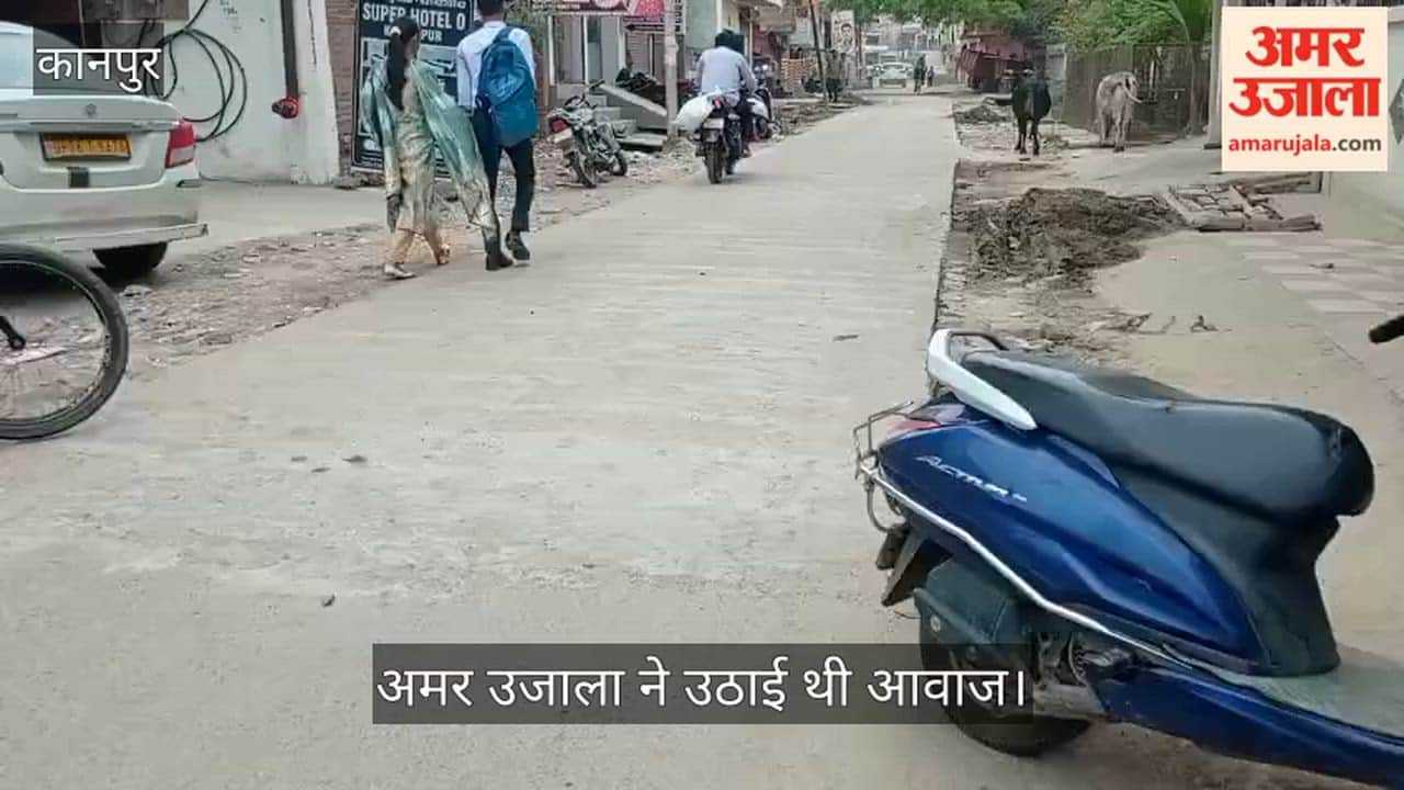 Kanpur Gooba Garden Liberated from Sewer Swamp Municipal Corporation Constructs Gleaming Concrete Road