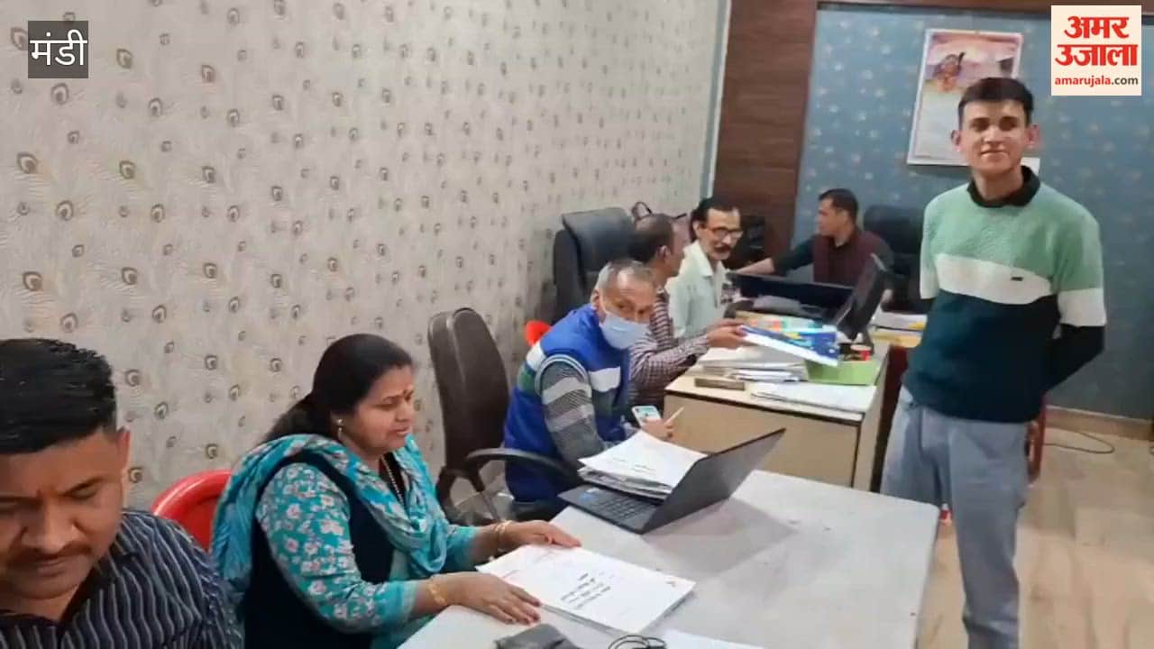 Mandi Dharampur Panchayat Reorganization Process Complete Eight New Panchayats Formed