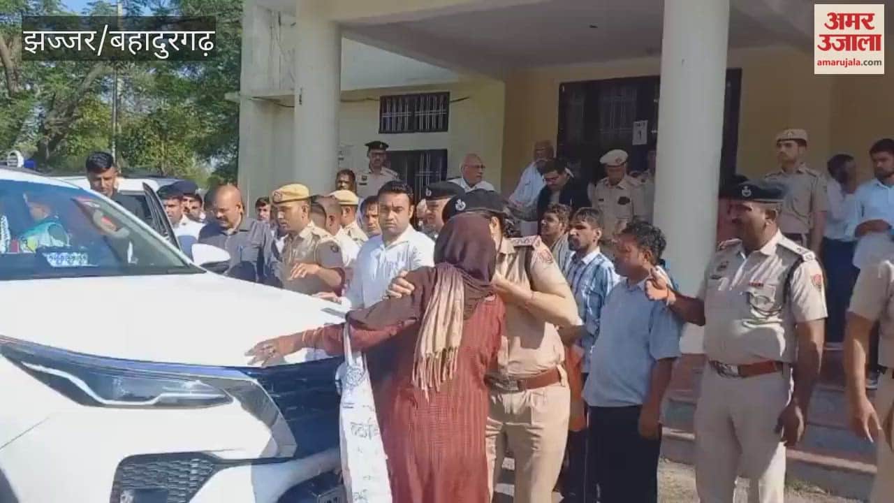 Fraud in the name of plot