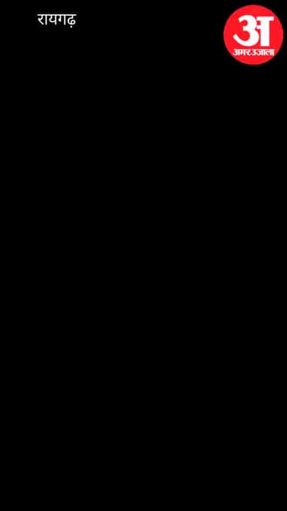 unique friendship spotted between a monkey and a dog the monkey was seen having fun while riding on the dog ba