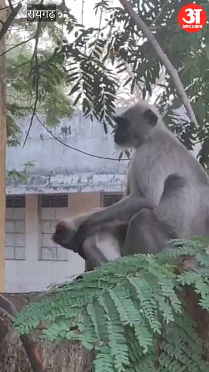 mother clutches her child body to her chest video viral