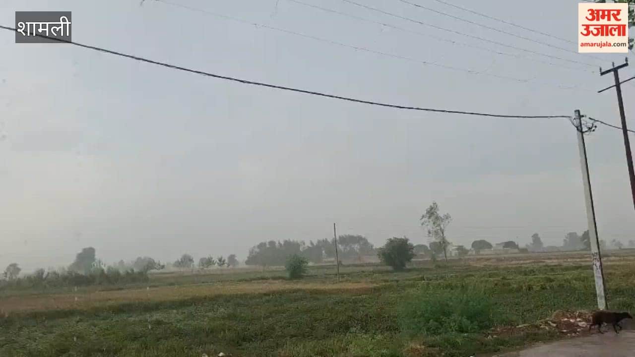 Light Drizzle Brings Temperature Down by Three Degrees, Weather Turns Pleasant