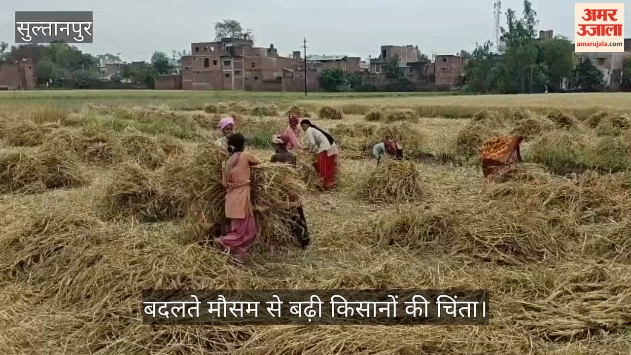 सुल्तानपुर में बदलते मौसम से बढ़ी किसानों की चिंता, फसल बचाने में जुटे अन्नदाता