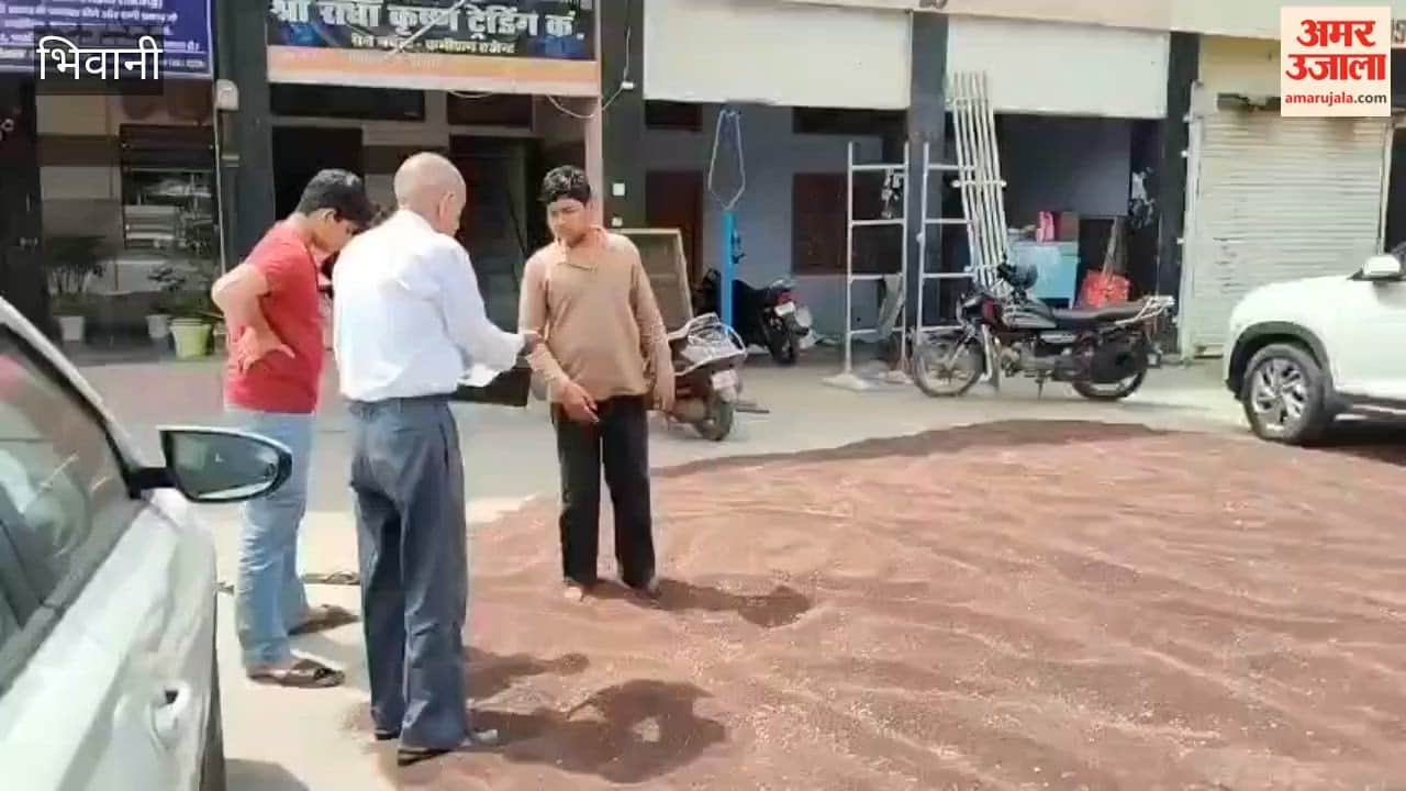 Government procurement of mustard began in the mandis of Bhiwani on March 28; mustard is currently being sold at private bids exceeding the MSP.