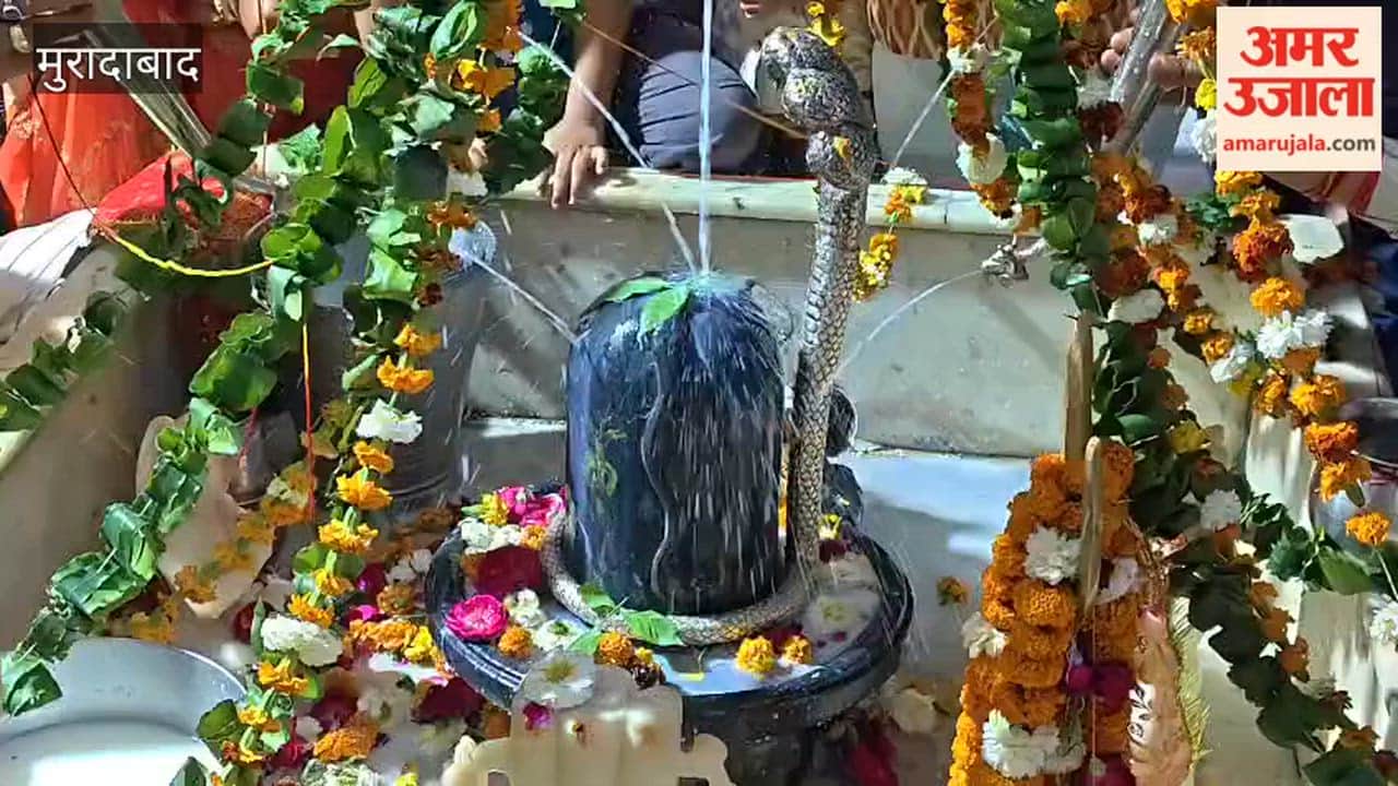 The Agarwal Sabha organized a Havan and Rudrabhishek ceremony at Mahakaleshwar Dham