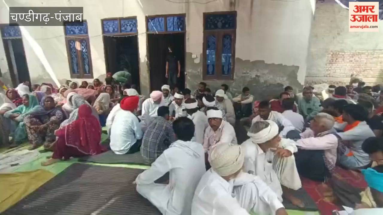 Youth Dies of Jaundice in Hazara Singh Wala Village, Mamdot