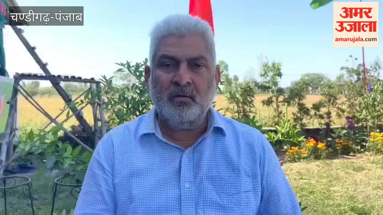 Punjab Government Fully Prepared for Wheat Procurement