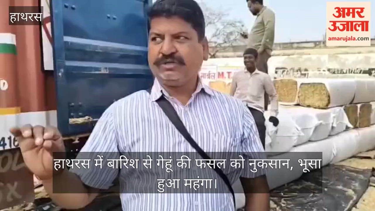 हाथरस में बारिश से गेहूं की फसल को नुकसान, भूसा हुआ महंगा