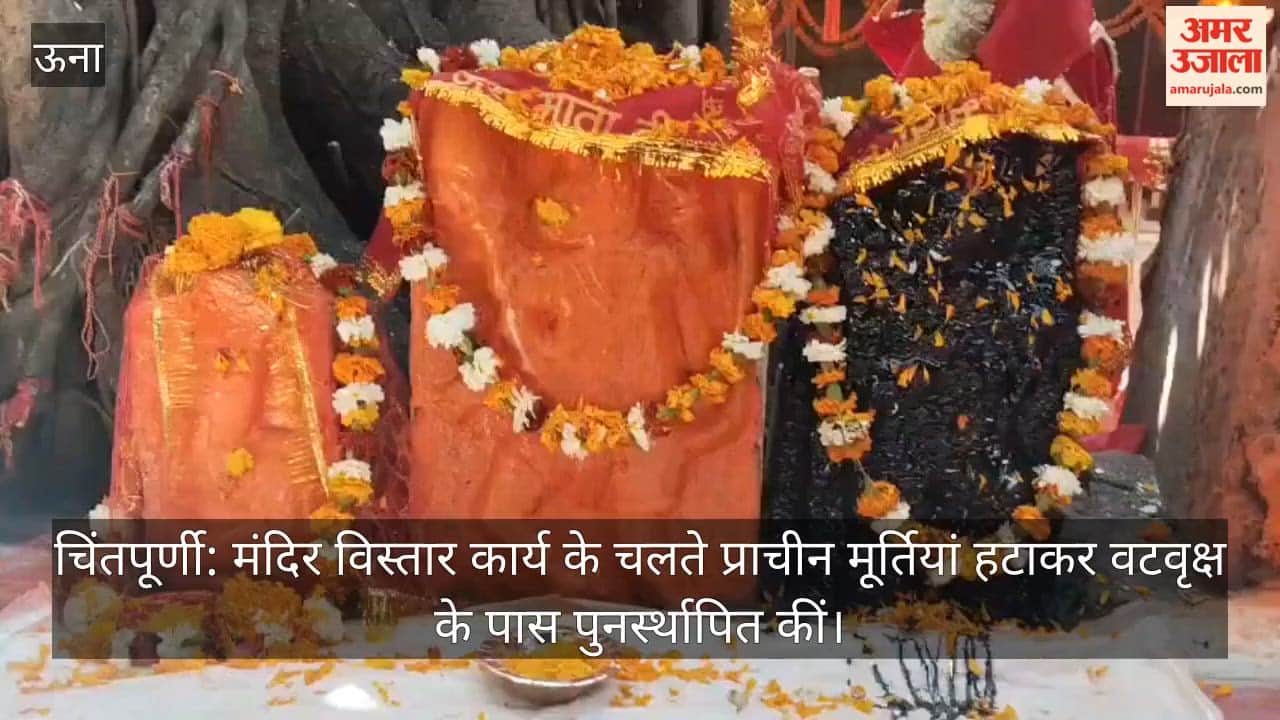 Chintpurni: Due to temple expansion work, ancient idols were relocated and reinstalled near the Banyan tree