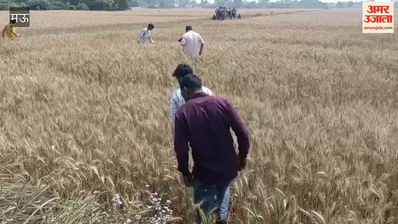 Body of Youth Who Left for Work Found in Wheat Field 24 Hours Later