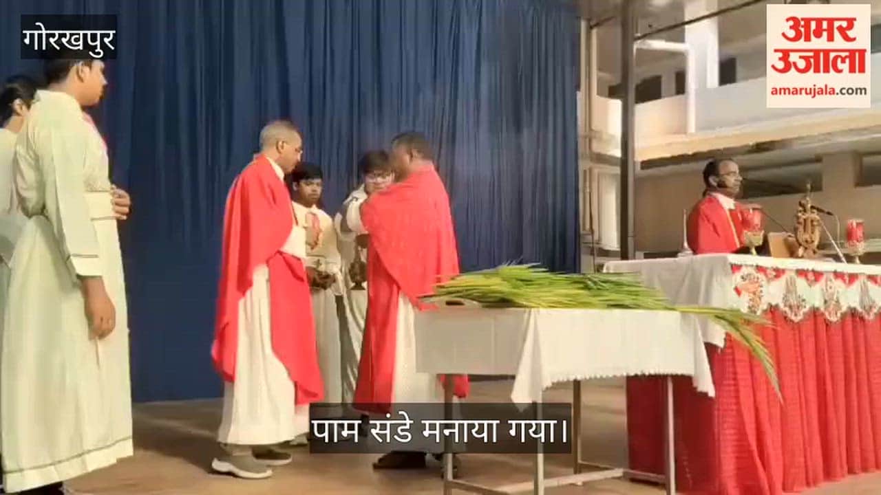 Palm Sunday celebrated in the city with pomp and reverence