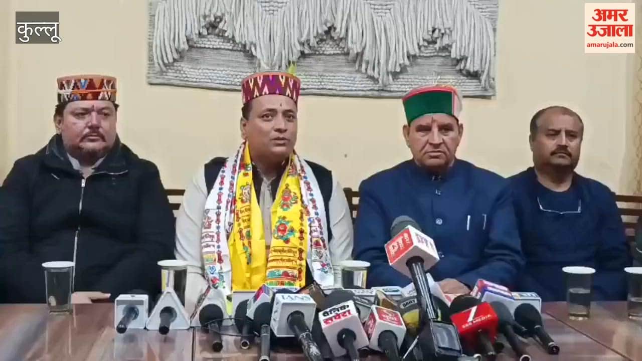 Kullu Anurag Sharma Says I Will Advocate for Himachal's Interests at the Centre, Rising Above Politics