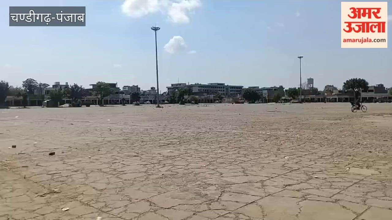 Wheat procurement to begin in Punjab from April 1