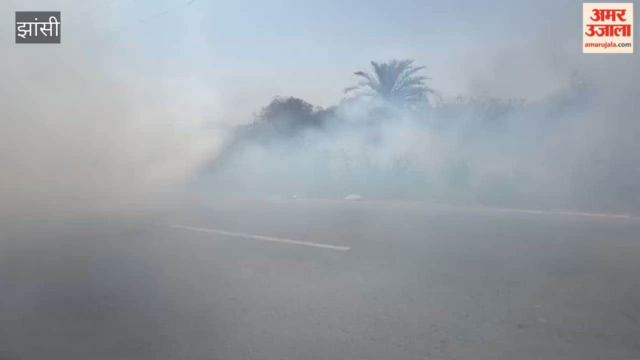 Jhansi: Fire broke out in several fields in Gursarai, destroying 15 hectares of crops.