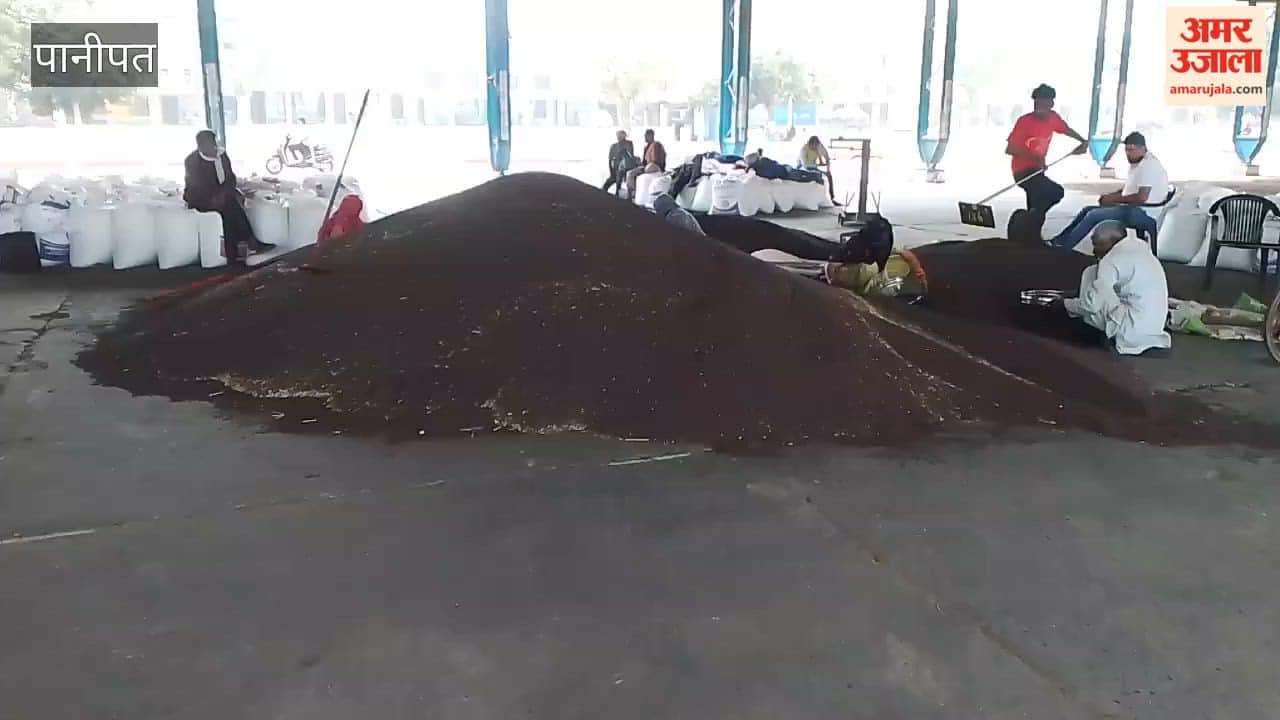 Mustard arrived in Panipat Mandi