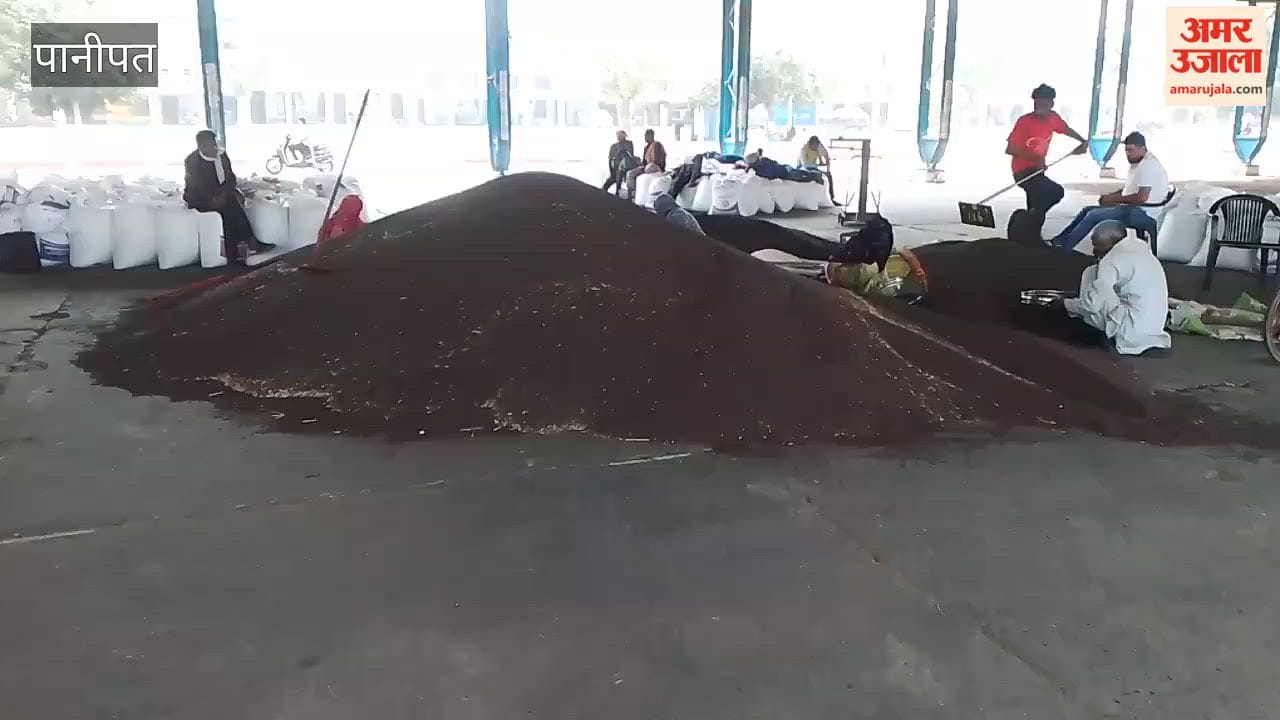 Mustard arrived in Panipat Mandi