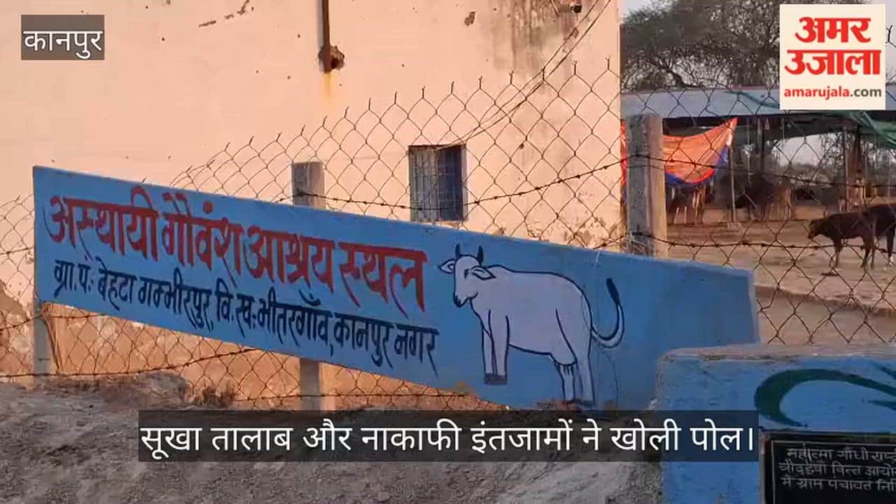Kanpur gaushala in poor condition, cattle struggle without shade and water amid heat