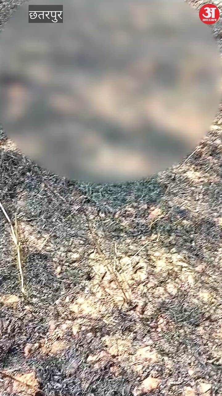 Horrific accident in Chhatarpur: Harvester collides with high tension line, driver burnt alive