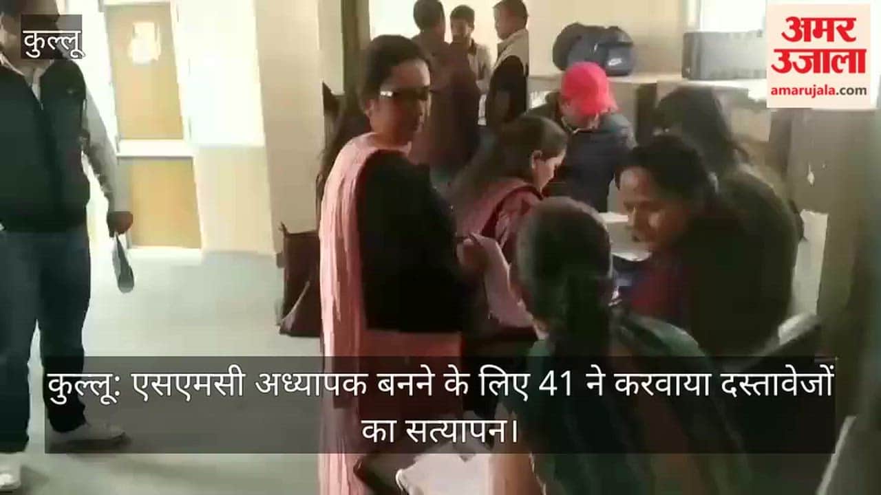 Kullu: 41 Candidates Undergo Document Verification to Become SMC Teachers