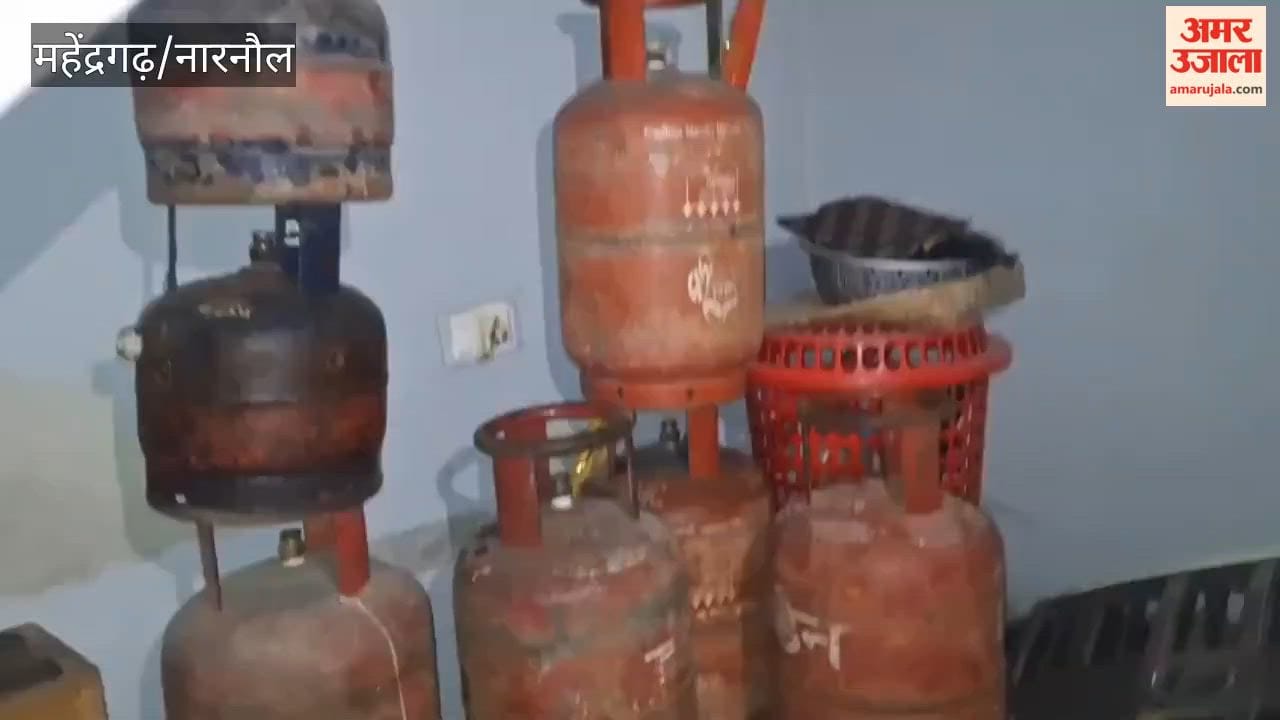 CM Flying Squad Raids Three Locations in Pali, Mahendragarh; 30 LPG Cylinders Recovered