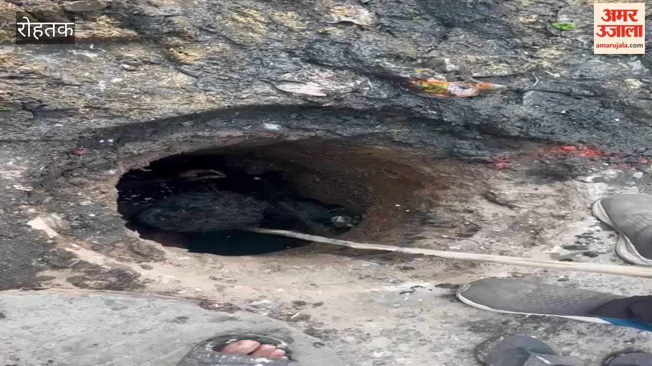 Workers in Rohtak cleaning sewer lines without safety kits.