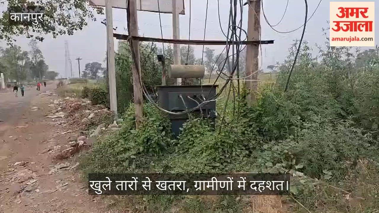 Kanpur Ground-Level Transformer Turns Deadly Several Animals Electrocuted