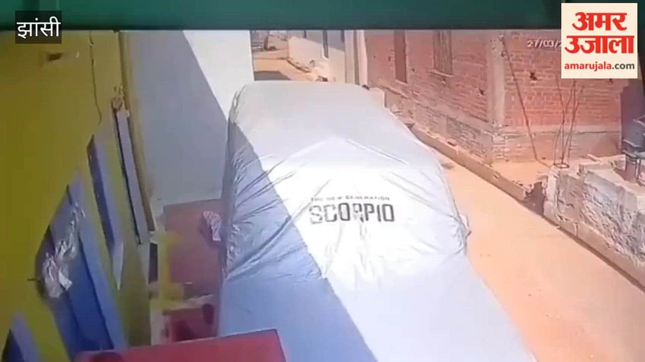 Video: Dog attacks six-year-old in Jhansi, condition critical