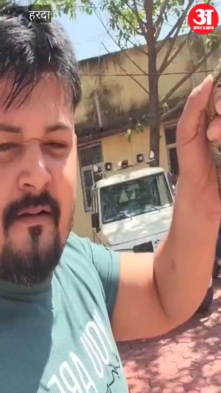 A porcupine was found in the SDM office premises, rescued safely and released into the forest.