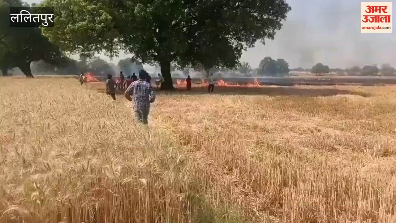 आग से खेत मे खड़ी फसल जलकर हुई नष्ट, ललितपुर के ग्राम सिंदवाहा का मामला