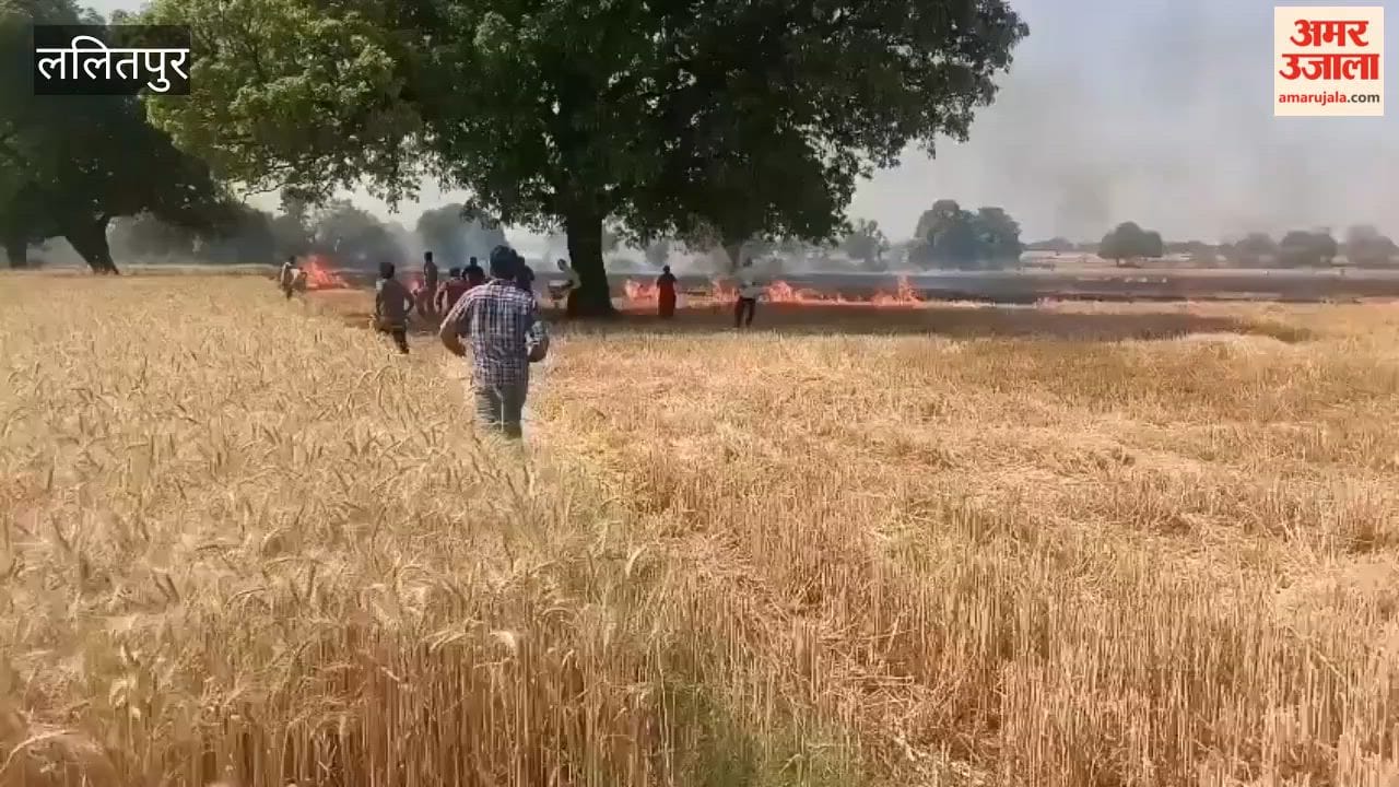 आग से खेत मे खड़ी फसल जलकर हुई नष्ट, ललितपुर के ग्राम सिंदवाहा का मामला