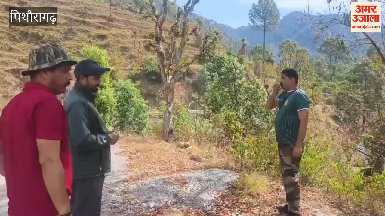 Girl injured in leopard attack in Pithoragarh