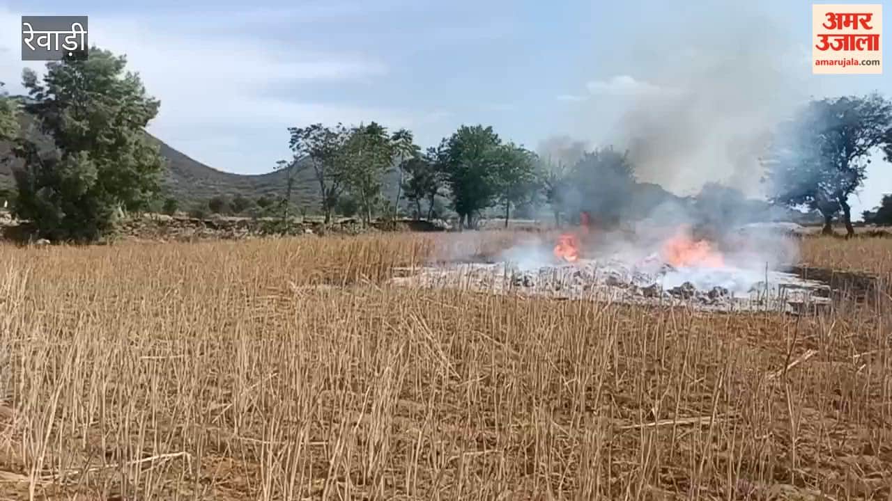 3 acres of mustard crop burnt to ashes