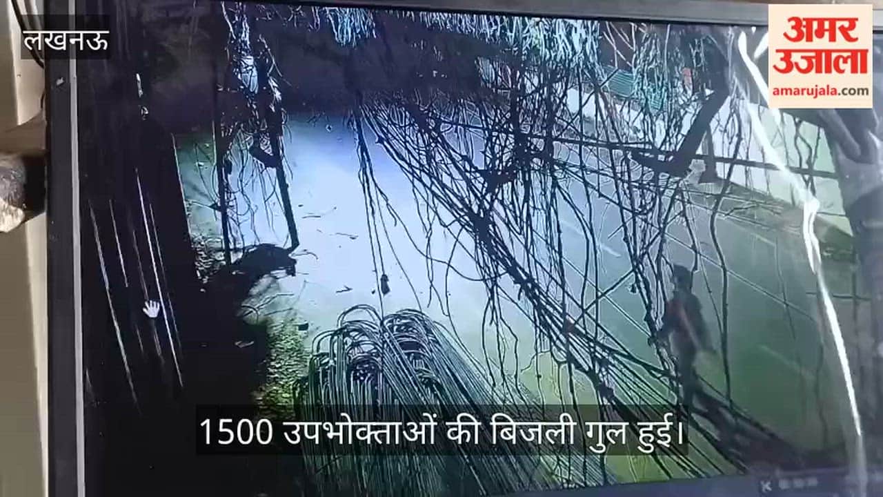 VIDEO: सिरफिरे ने लगाई थी मोबाइल नेटवर्क और बिजली के तारों में आग