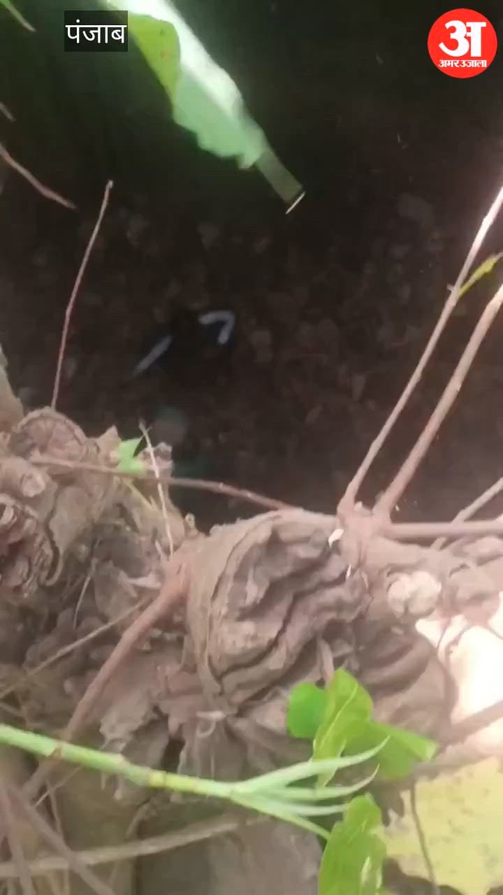 होशियारपुर में दो दिन बाद सूखे कुएं से युवक को सकुशल निकाला गया बाहर