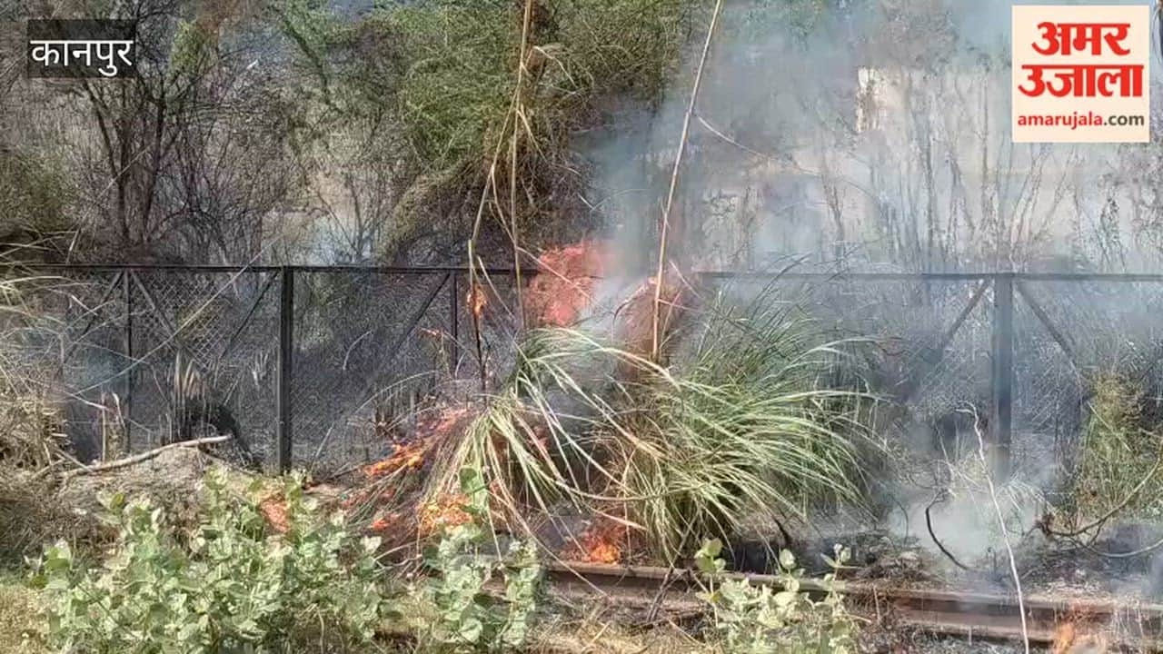 Kanpur: Fire Breaks Out in Bushes Along Railway Tracks; Firefighters Bring It Under Control
