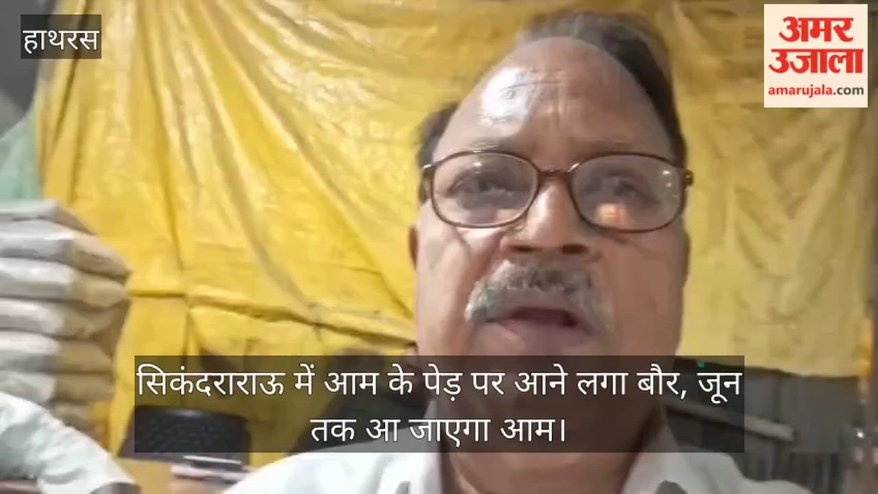 सिकंदराराऊ में आम के पेड़ पर आने लगा बौर, जून तक आ जाएगा आम
