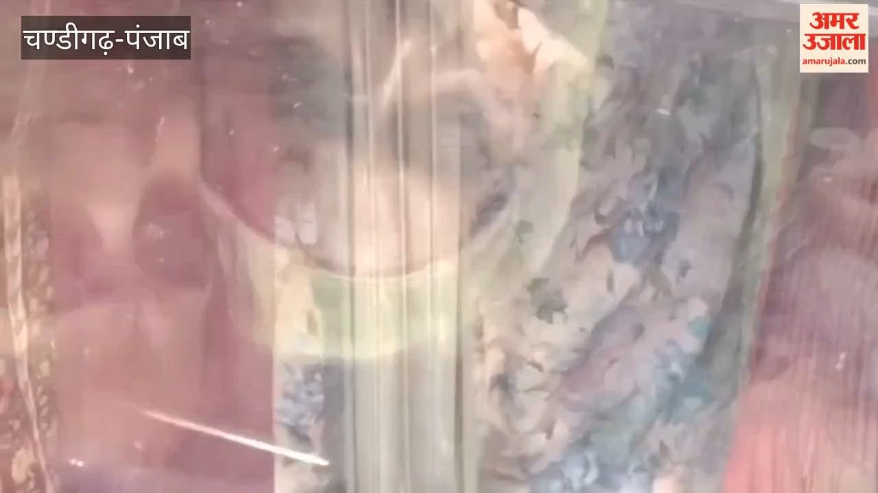 Ferozepur Counter-Intelligence Apprehends Accused with Heroin and Pistol