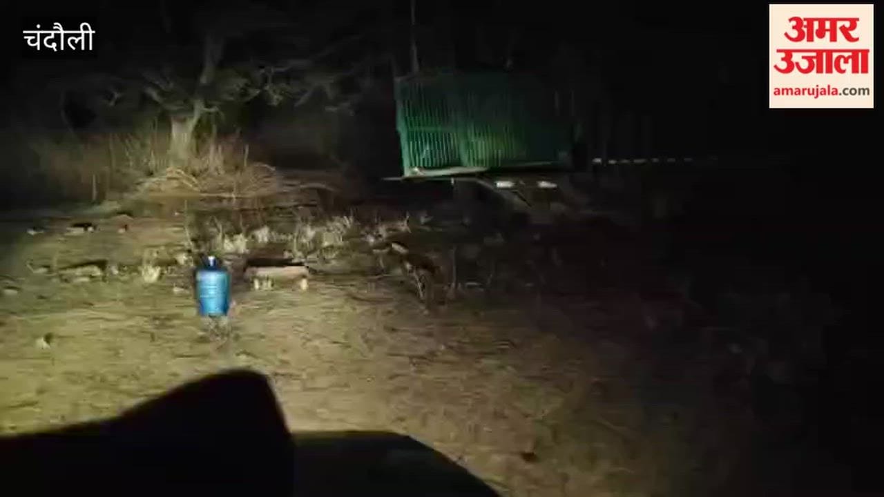 Female Leopard That Injured Two People in Lakhimpur Released into Chandraprabha Sanctuary