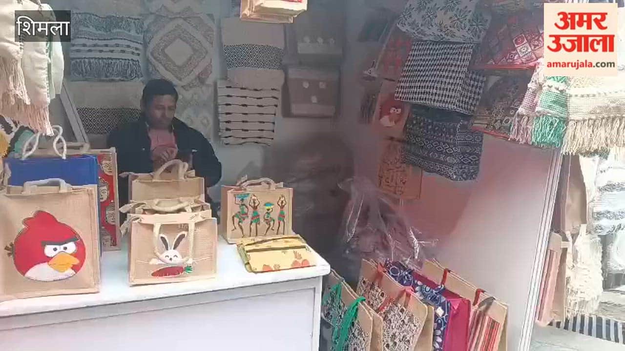 Shimla Carpets and Purses Made of Jute Become the Main Center of Attraction