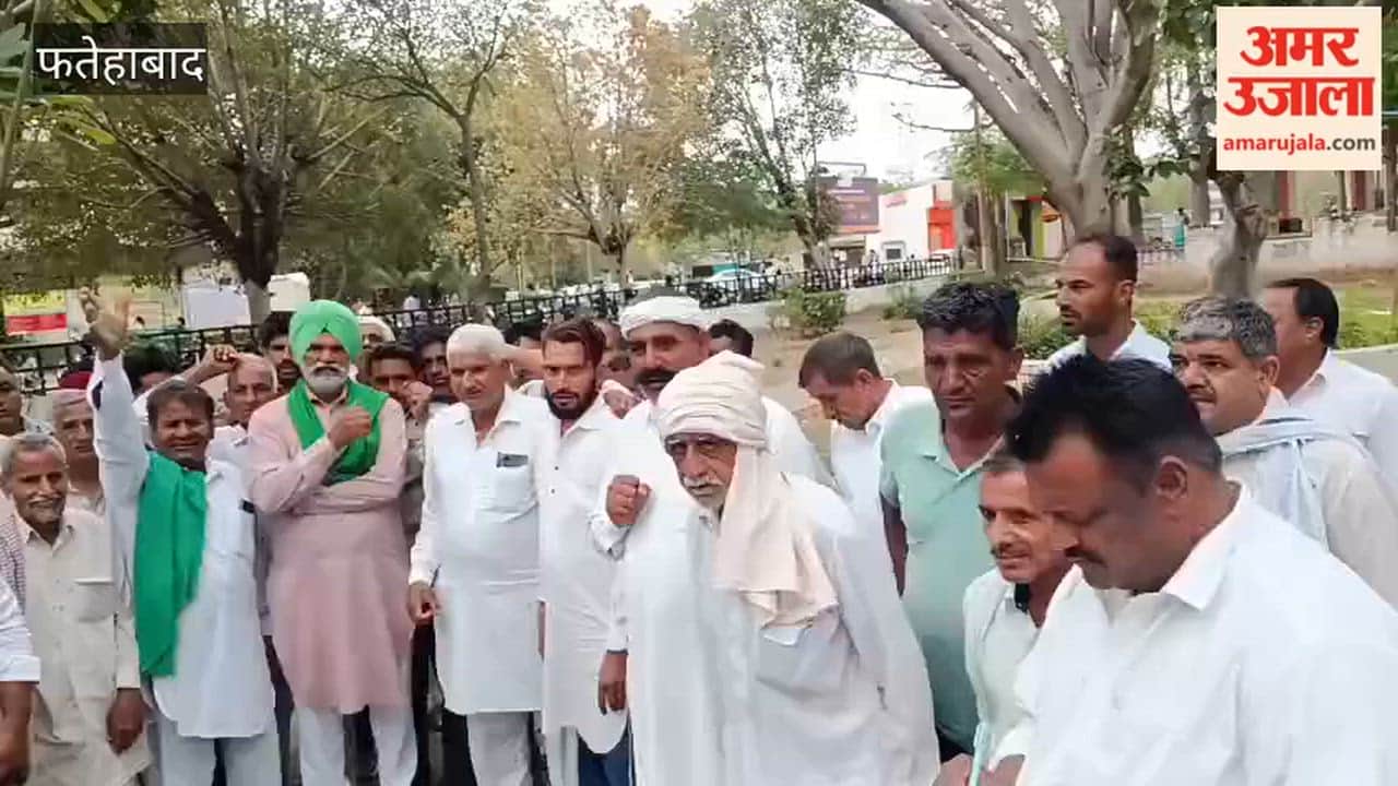 Hailstorm caused damage to crops