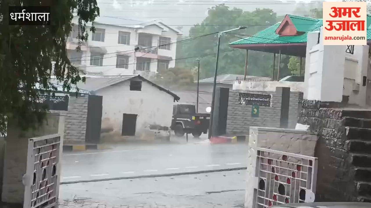 Dharamshala Weather takes a turn in Dharamshala; rain and strong winds intensify the cold, causing damage to crops