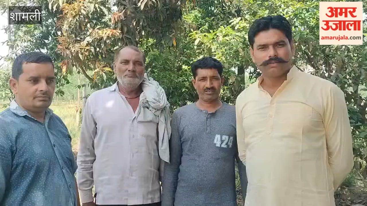 Shamli: Thieves attack tube wells, cut cables of 6 farmers