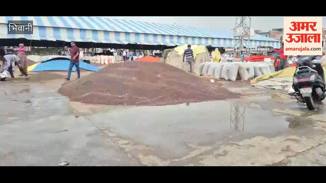 Mustard crop of farmers got wet in the market