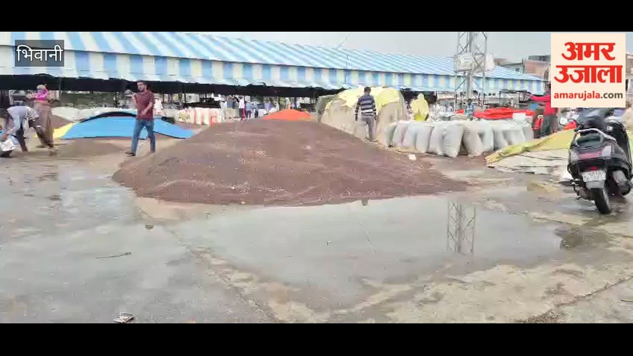 Mustard crop of farmers got wet in the market