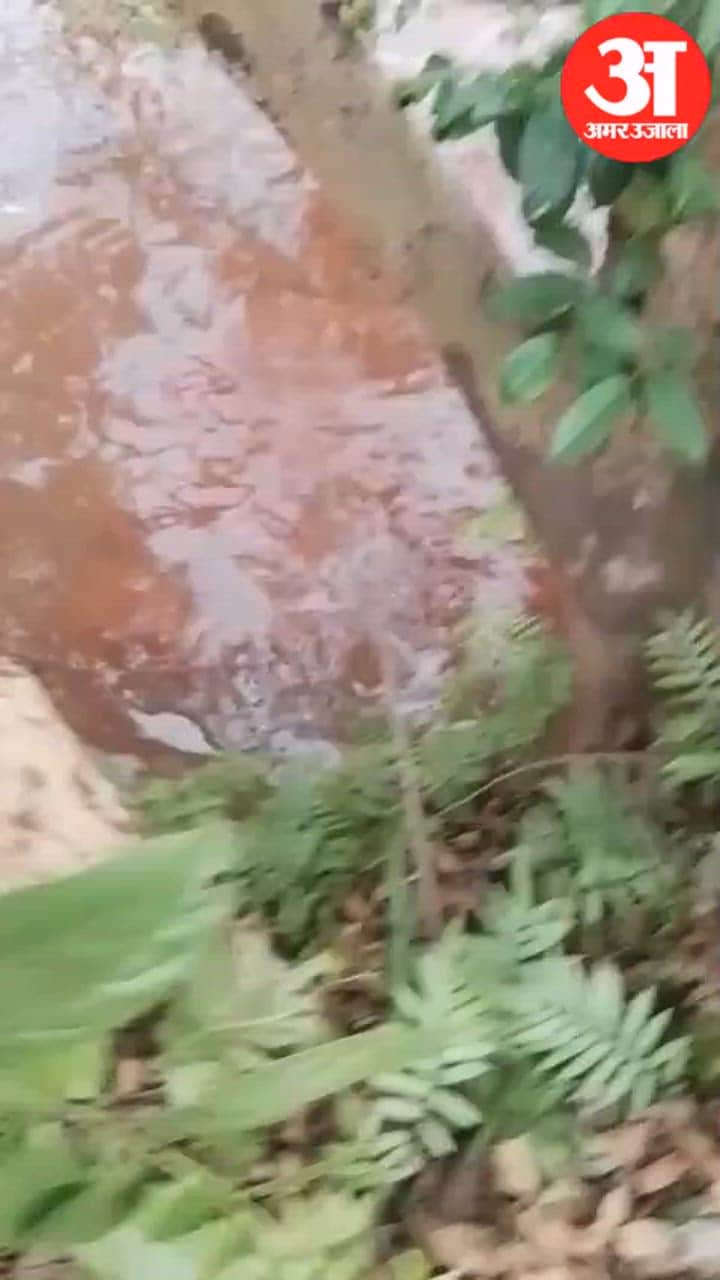 15-Year-Old Boy Drowns While Fishing in a Stream in Dantewada and Dies