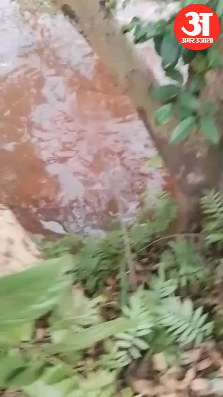 15-Year-Old Boy Drowns While Fishing in a Stream in Dantewada and Dies