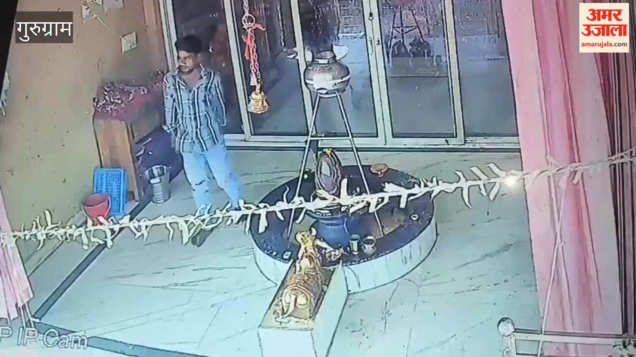 two youths stole metal snake from Shivalinga of temple In Gurugram