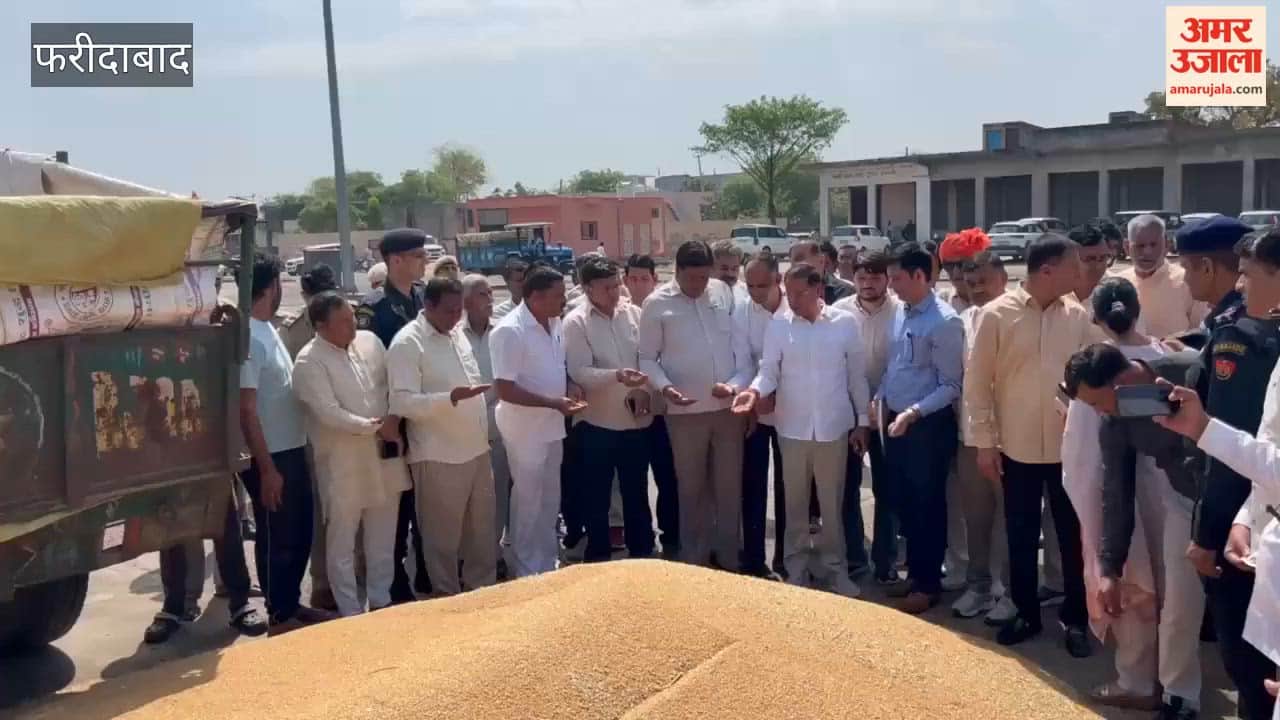 MLA Rajesh Nagar made a surprise inspection of Tigaon grain market