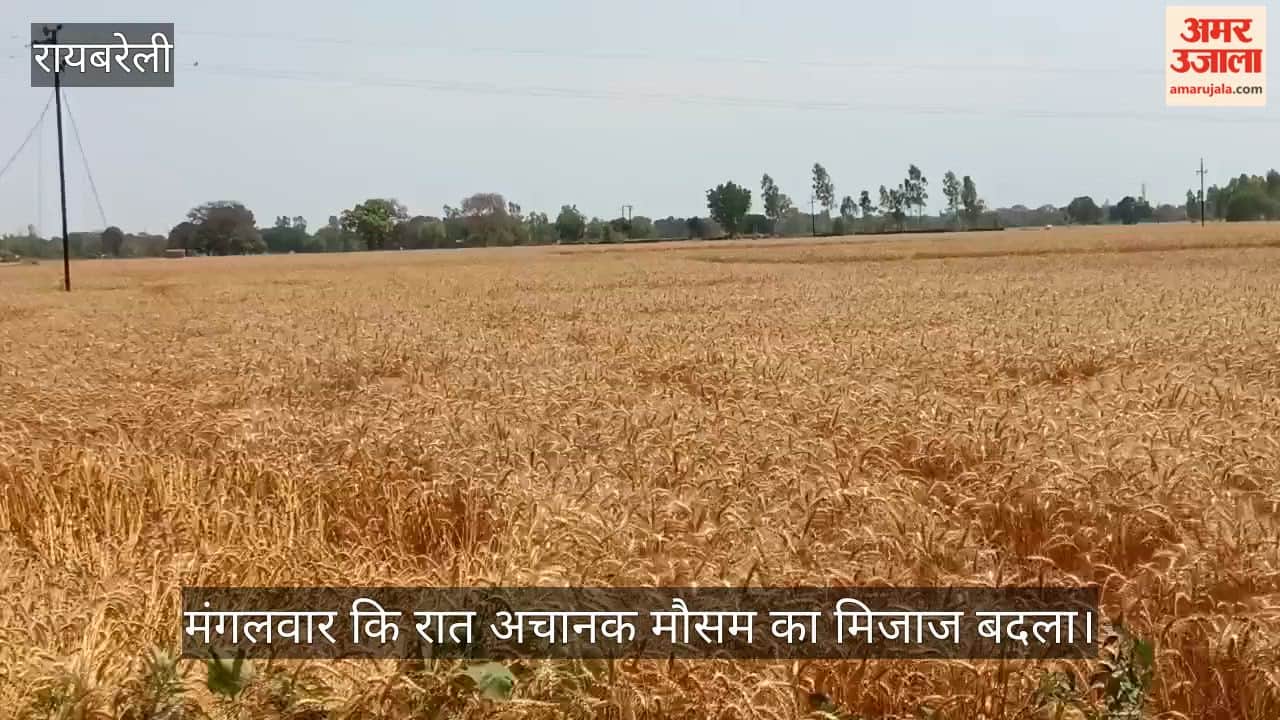 VIDEO: किसानों के लिए आफत बनी बेमौसम बारिश, गेहूं के गट्ठर भीग गए